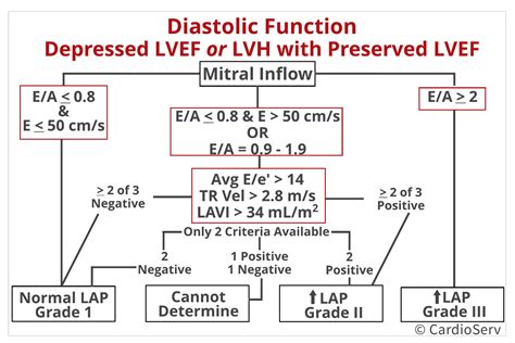 diastolic dysfunction guidelines.